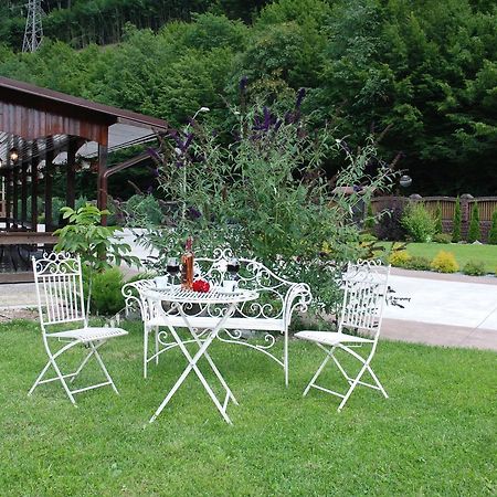 Pensiunea Roua Florilor Hotel Anina Exterior photo